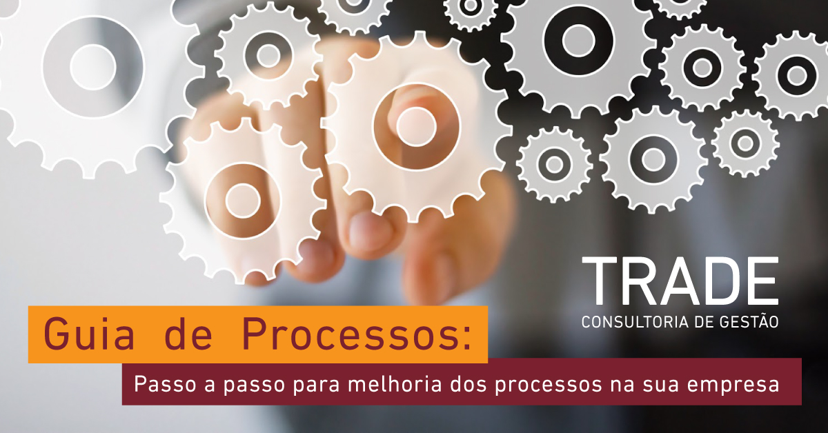 Guia De Processos E Book